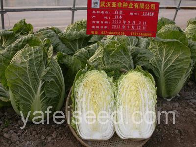 點(diǎn)擊在新窗口中打開(kāi)