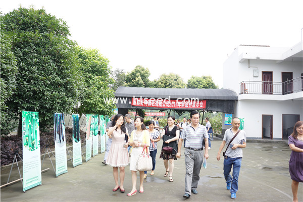 點(diǎn)擊在新窗口中打開(kāi)