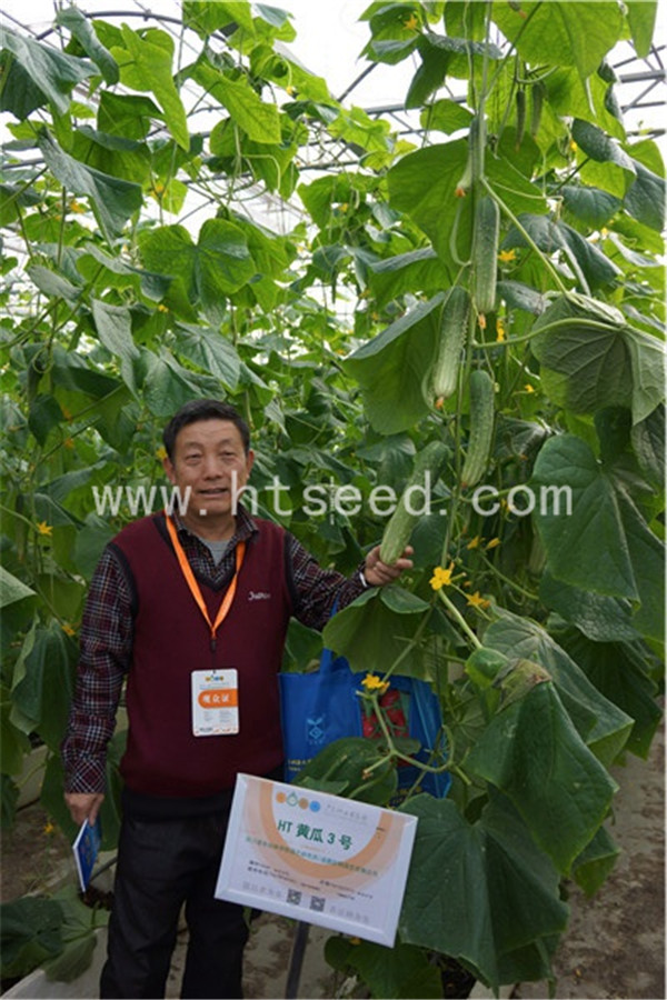點(diǎn)擊在新窗口中打開