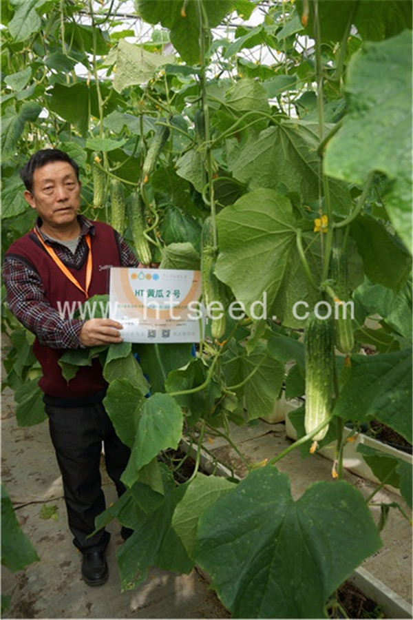 點(diǎn)擊在新窗口中打開