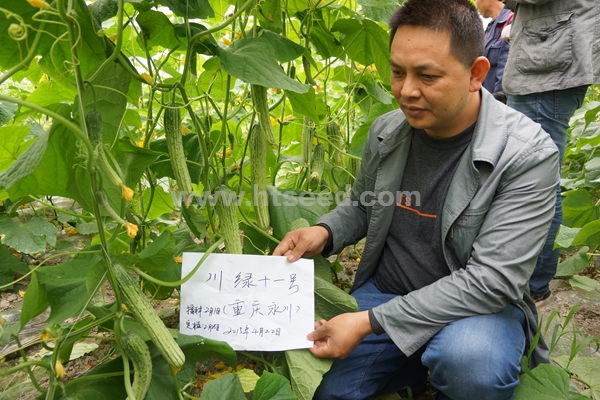 點擊在新窗口中打開