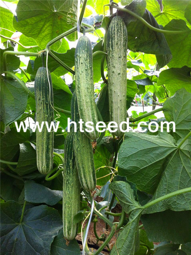 點擊在新窗口中打開