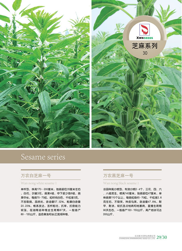 點擊在新窗口中打開