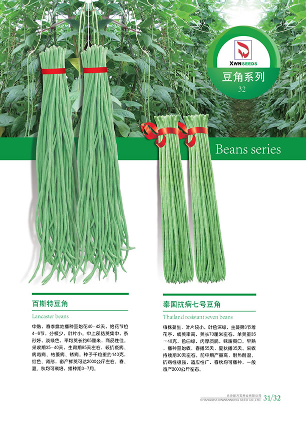 點擊在新窗口中打開