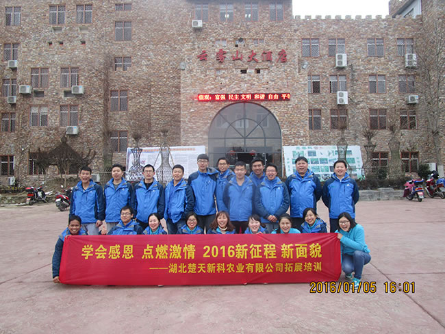 點(diǎn)擊在新窗口中打開
