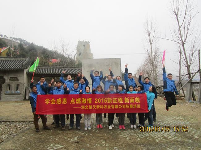 點(diǎn)擊在新窗口中打開