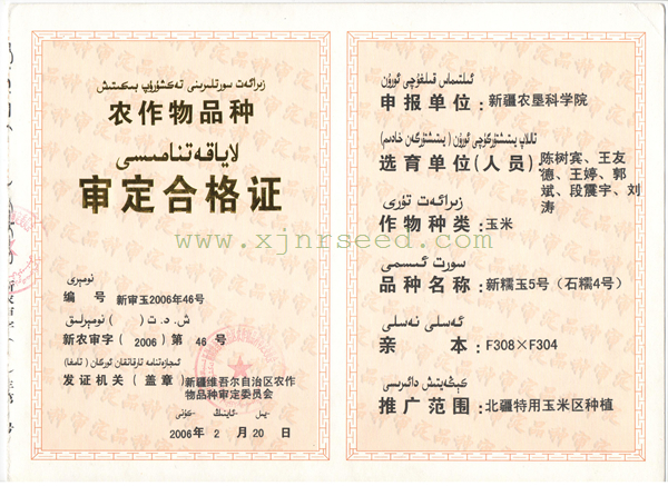 點擊在新窗口中打開