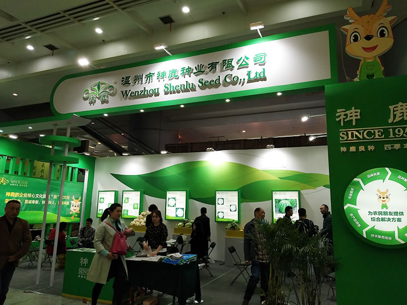 點(diǎn)擊在新窗口中打開