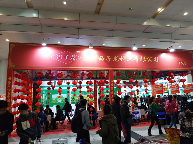 點(diǎn)擊在新窗口中打開