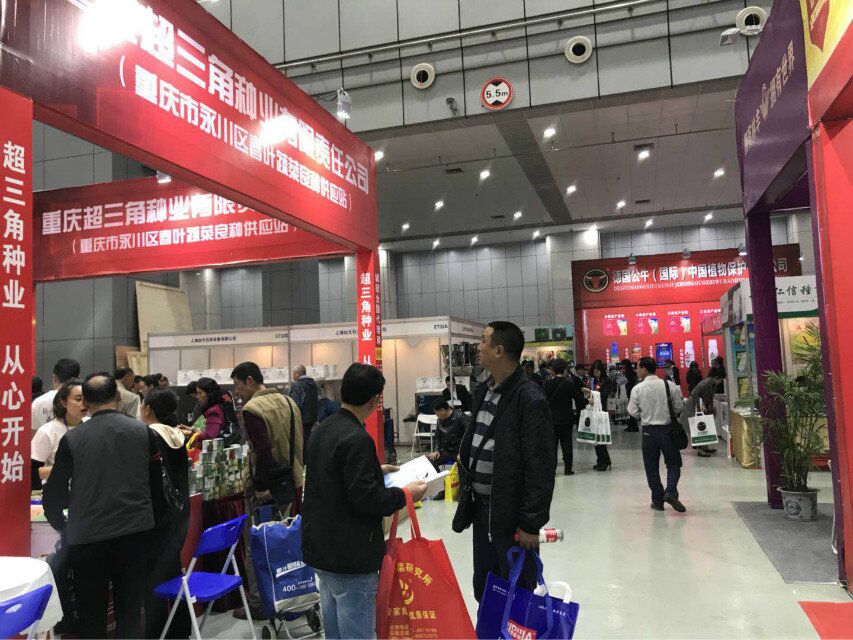 點(diǎn)擊在新窗口中打開
