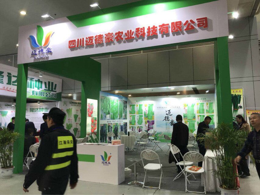 點(diǎn)擊在新窗口中打開