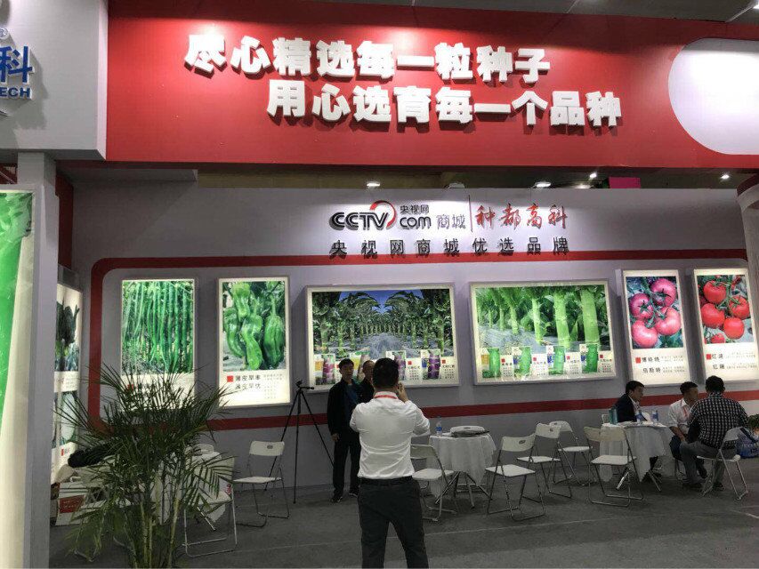 點(diǎn)擊在新窗口中打開