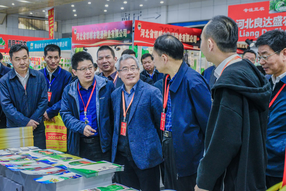 點(diǎn)擊在新窗口中打開