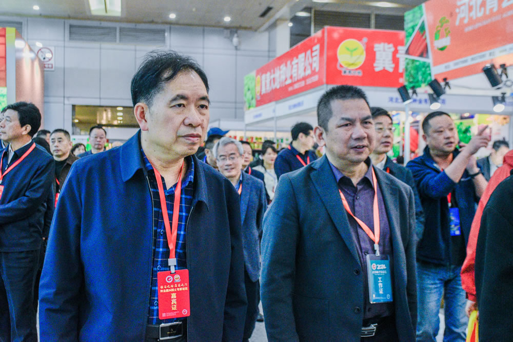 點(diǎn)擊在新窗口中打開