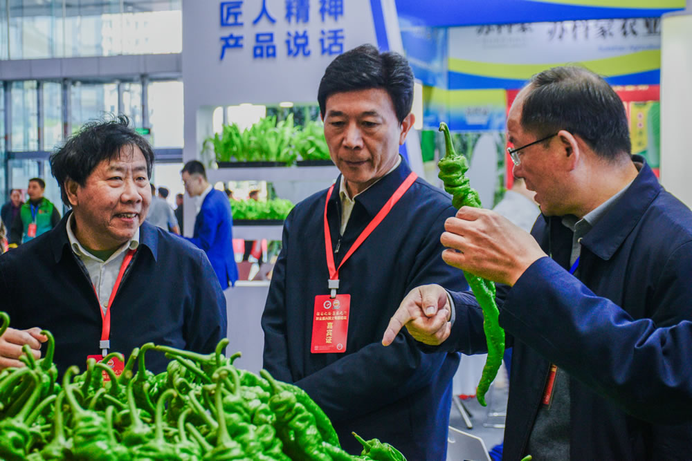 點(diǎn)擊在新窗口中打開