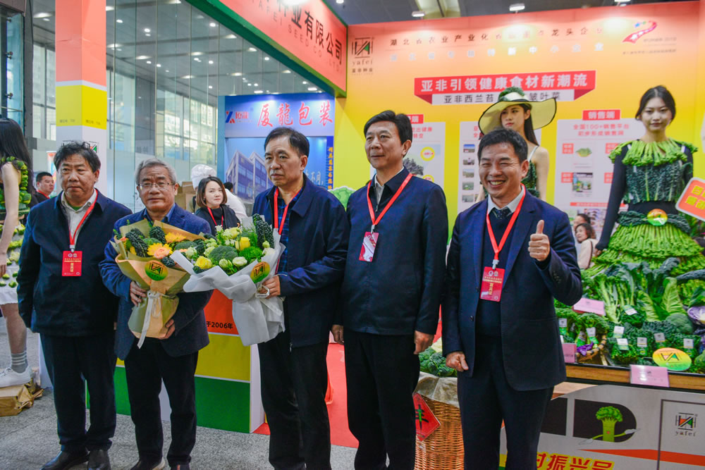 點(diǎn)擊在新窗口中打開